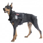 Dog Vest K9 e Accessori Cani